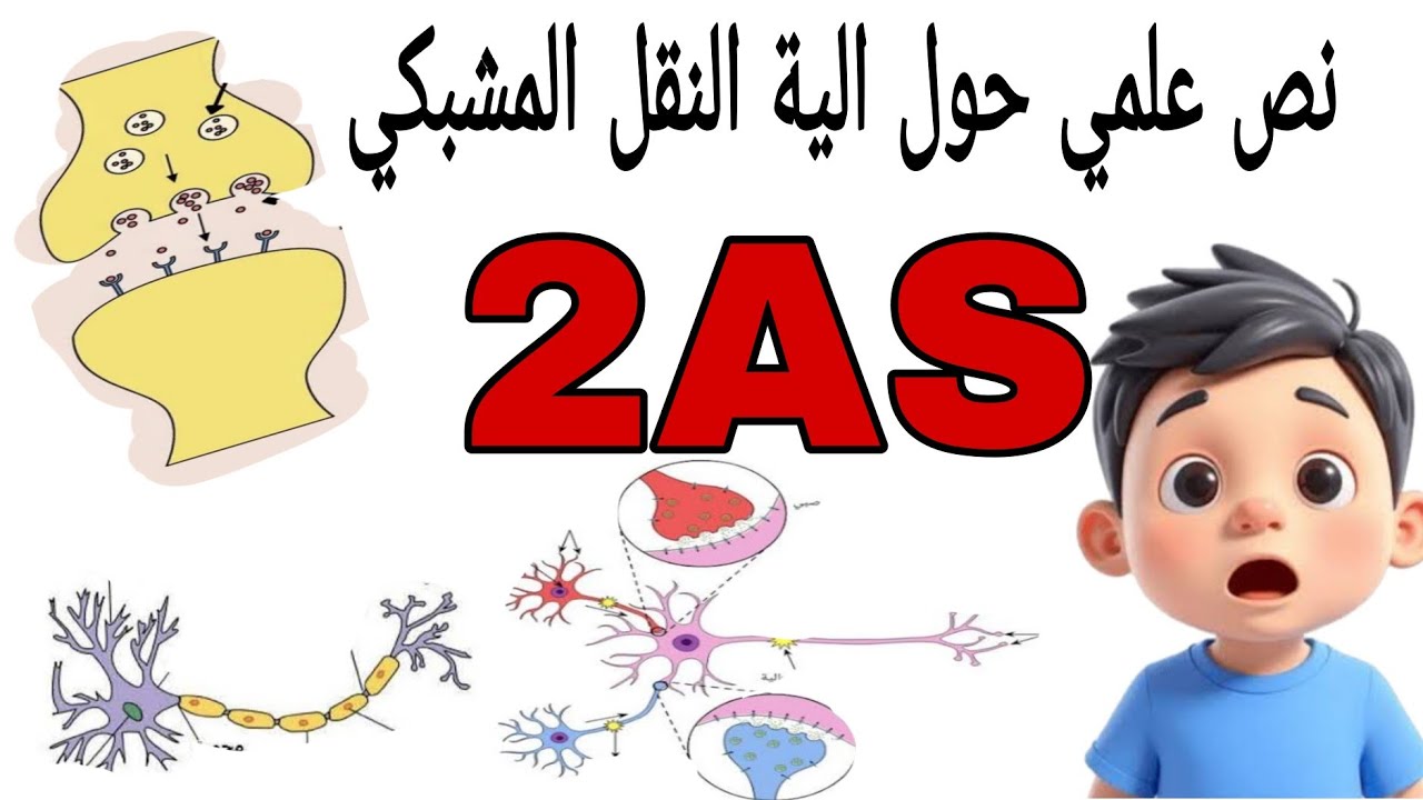 نص علمي حول الية النقل المشبكي ✨ مقترح بقوة للفروض والاختبارات ✨ السنة الثانية ثانوي علوم تجريبية ✨