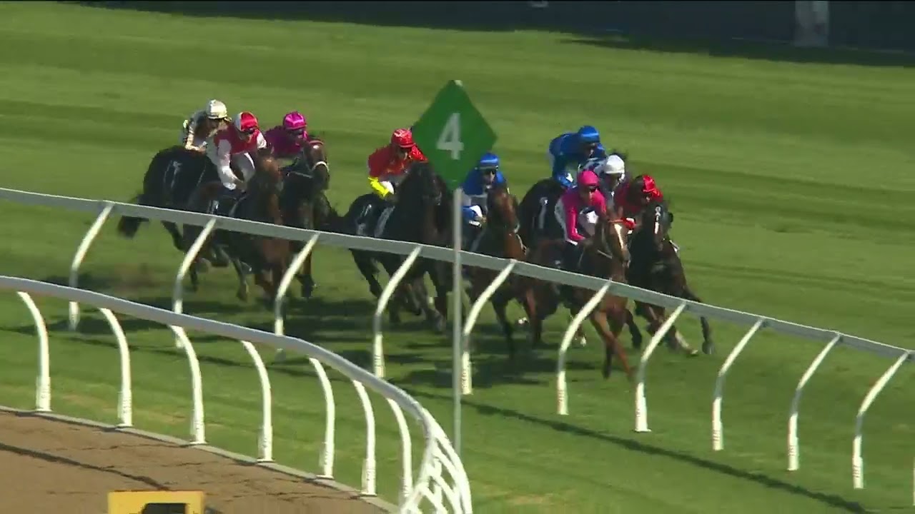 ANAMOE - George Ryder Stakes 2023 (3YO+ WFA G1) Group 1 Rosehill 18 March