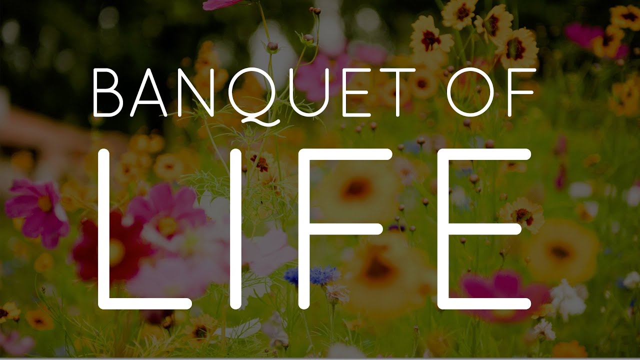 Banquet Of Life - Hamza Yusuf | #Important
