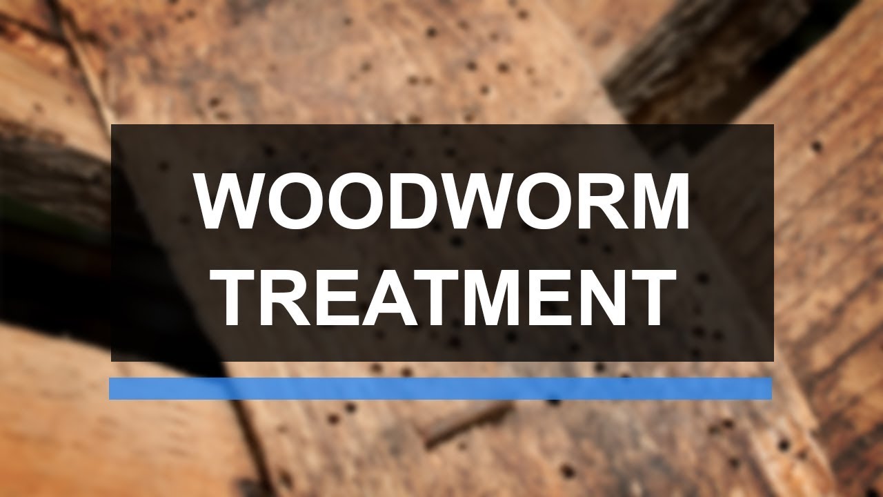 Woodworm Treatment | Richardson & Starling