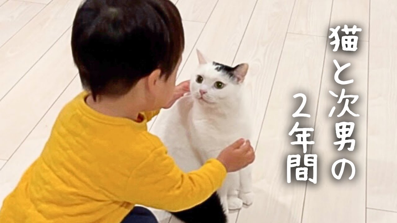 猫と次男が初めて会った日から２年間の成長記録