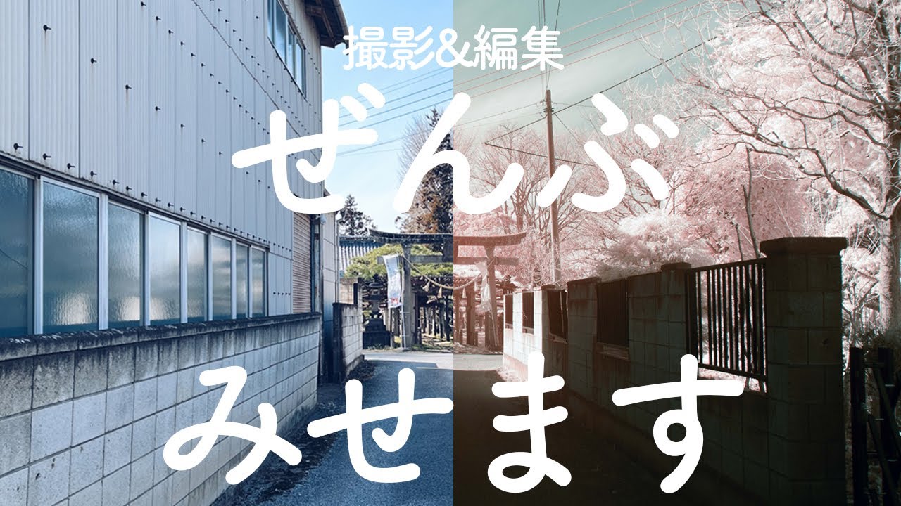 【RAW配布あり】赤外線写真の撮影から編集まで、すべてお見せします