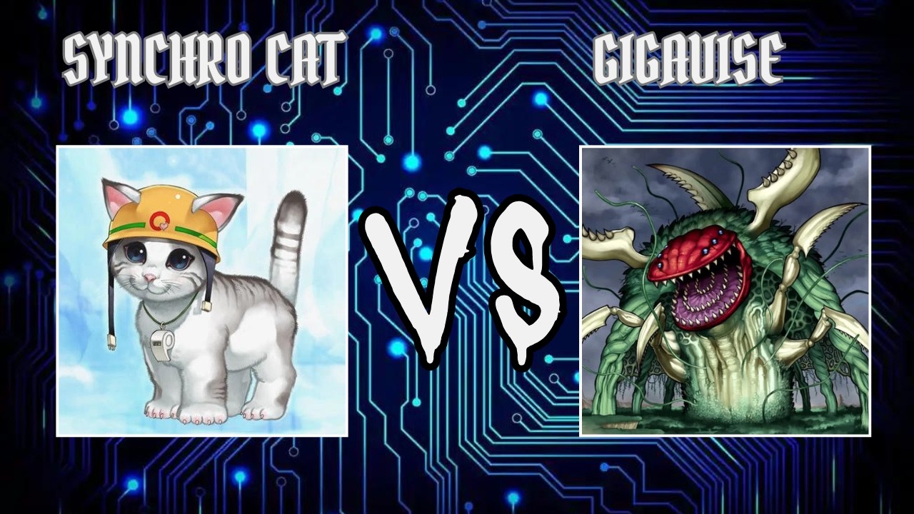 Shabam4(Synchro Cat) vs Pedro2163(Gigavise) | Yugioh Edison Format | Dueling Book
