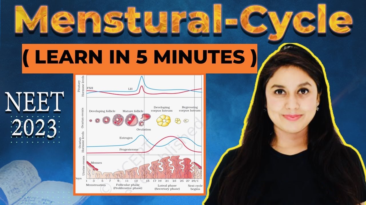 Learn Menstrual Cycle in 5 mins! HORMONES of Menstrual Cycle | NEET | Meenakshi Sharma