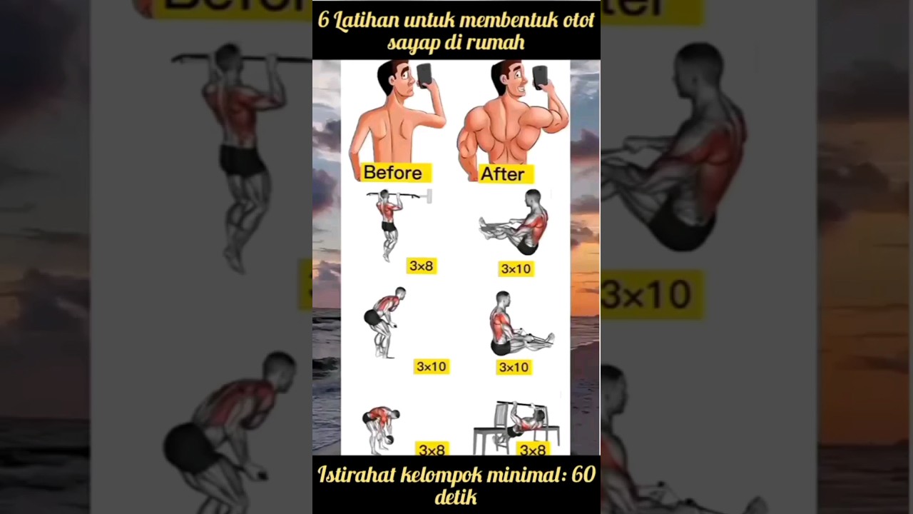 Latihan untuk membentuk otot sayap di rumah|Bagi pemula #fitness #gym #shorts