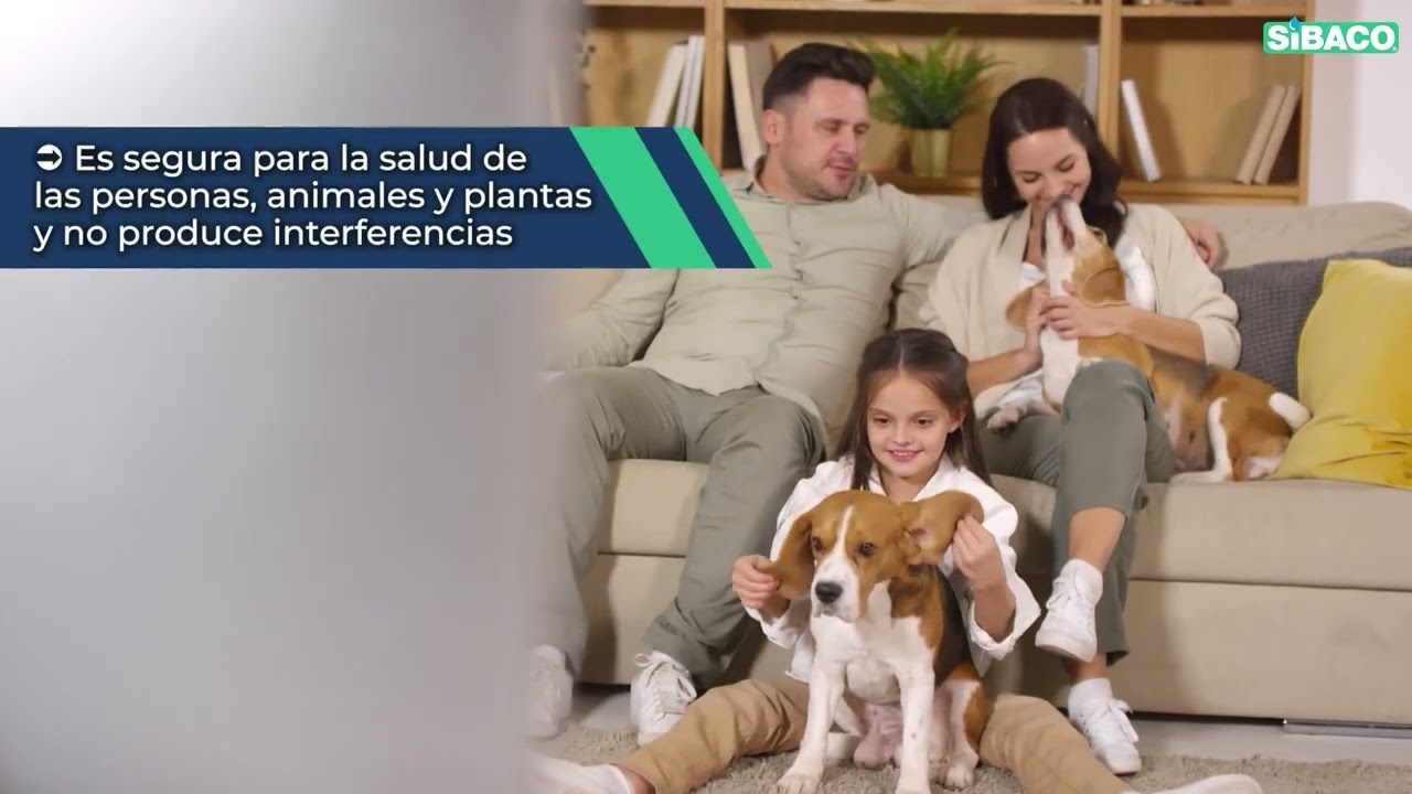 Cómo funciona la Central Antihumedad Sibaco?