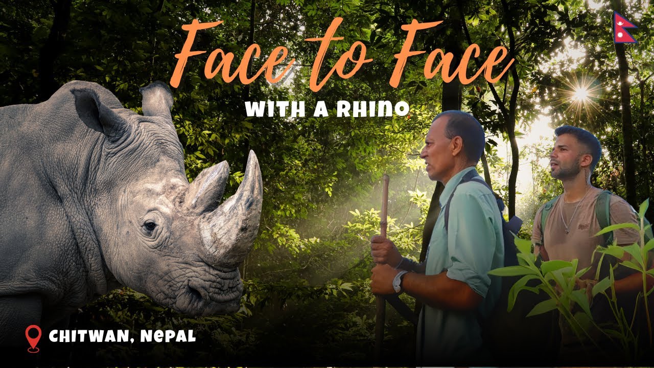 Face to Face with a RHINO | Wildest On Foot Tiger Safari only in NEPAL 🇳🇵 | ONE WILD LENS | Part 2