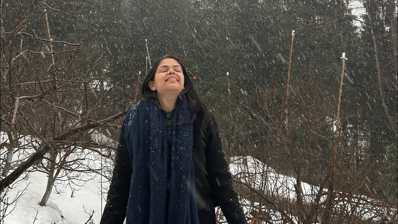 A day filled with snow