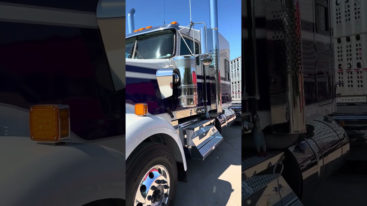 Brand New Kenworth W900! 🔥🥵 #kenworth #longhaultrucker #trucking