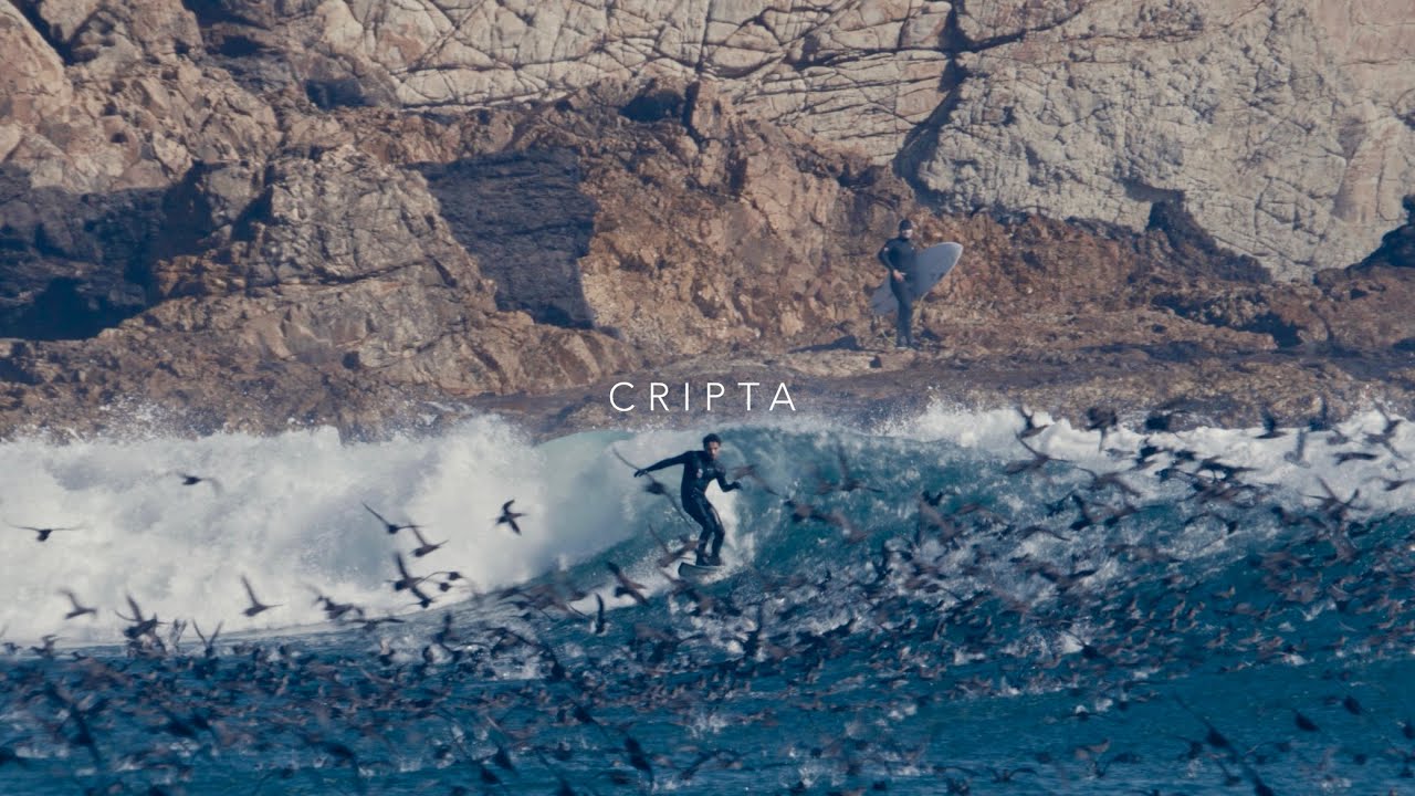 CRIPTA SURF FILM 