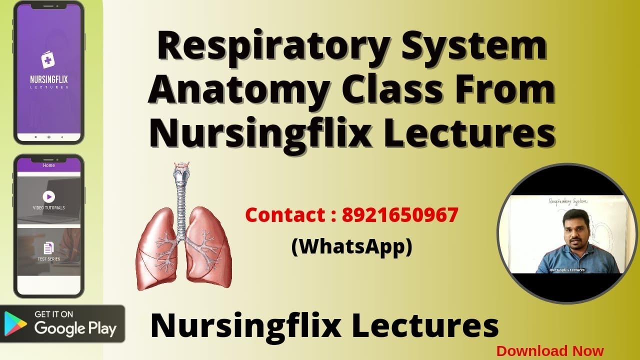 Respiratory System Anatomy Class From Nursingflix Lectures App