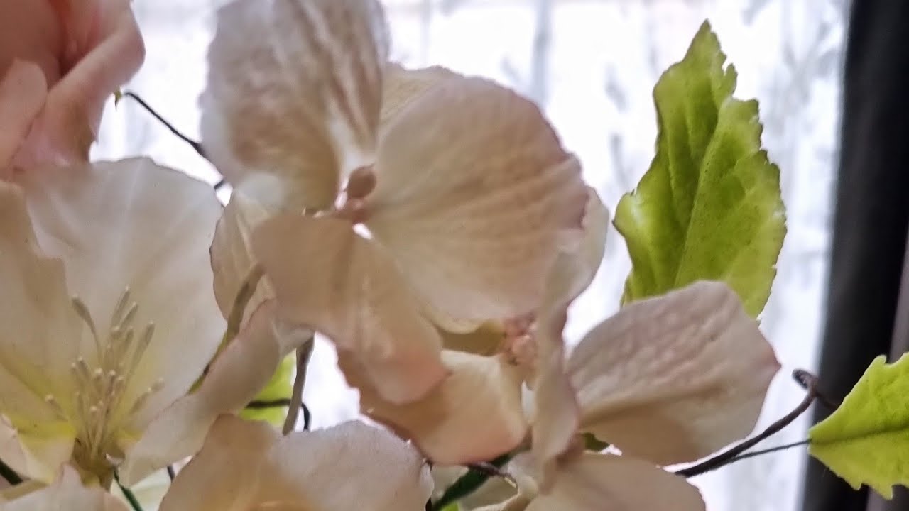 منهار اليوم ماتزديش تشتريها اخدميها في دارك عجينة gumpaste