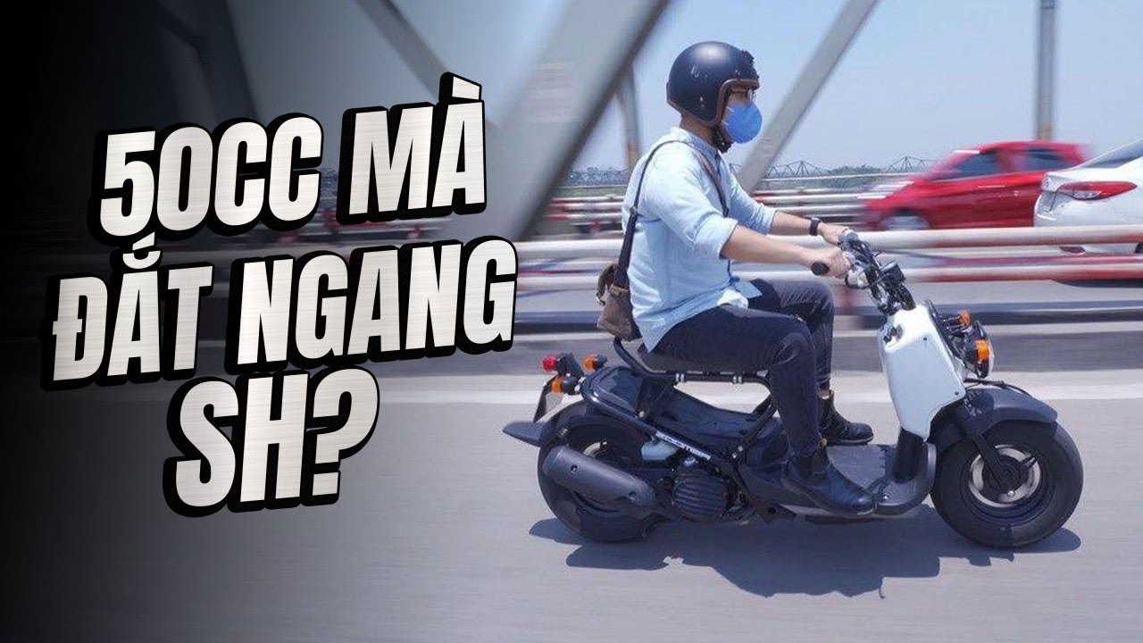 Honda Zoomer 50cc: Chạy thích cực mà cũng đắt cực. | Đường 2 Chiều.