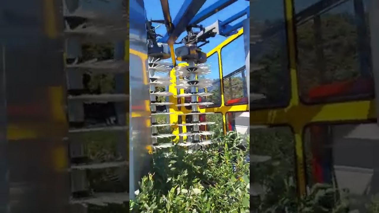 Kombajn do zbioru bor&oacute;wki / blueberry harvester / JAGODA 300 From JAGODA JPS Agromachines