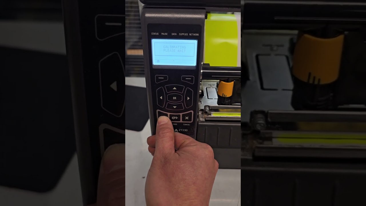 Calibration Zebra ZT230 Label Printer
