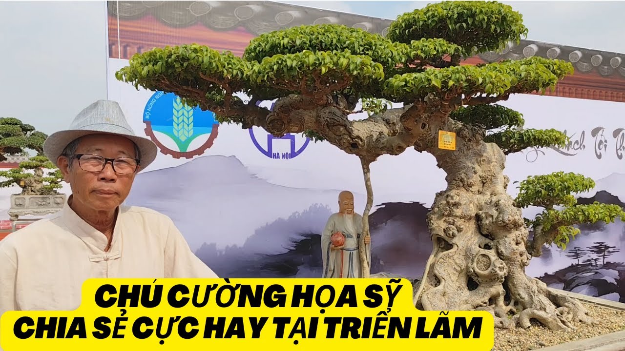 Chú Cường họa sỹ chia sẻ cây cảnh cực hay tại Triển lãm Thủ Đô 2024