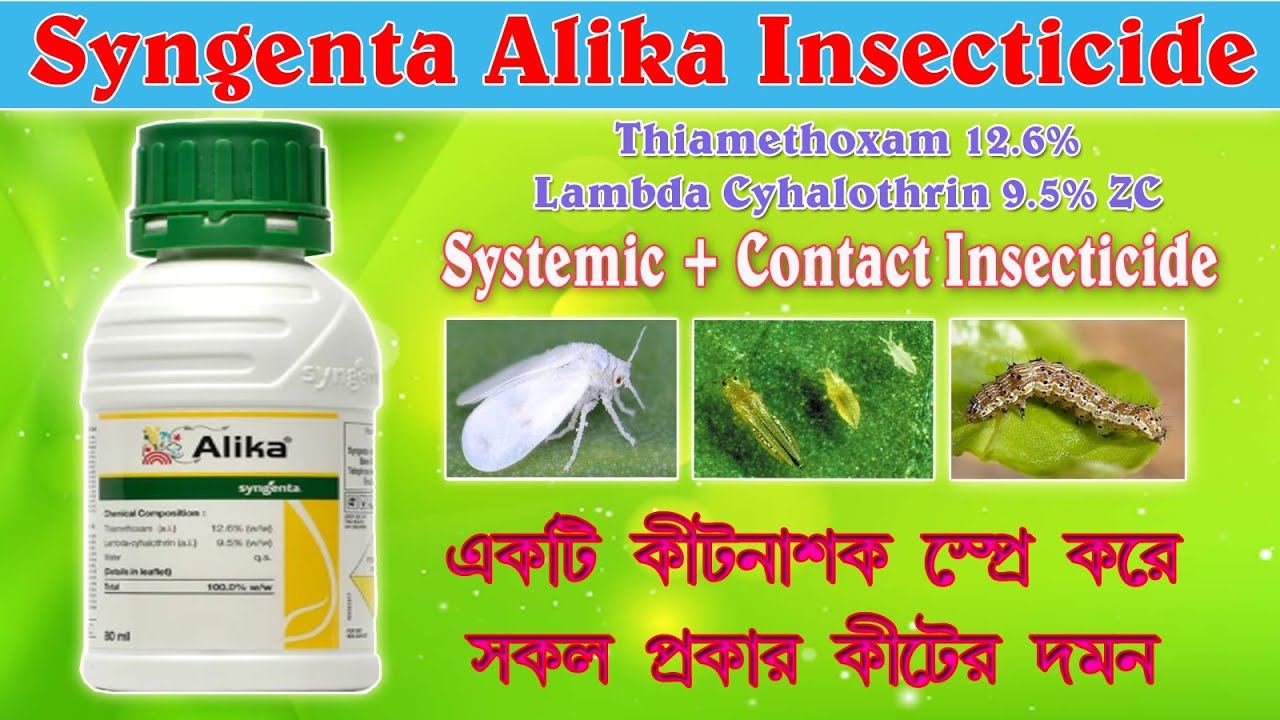 Syngenta Alika I Thimethoxam+LambdaCyhelothrin I কোন কোন ফসলে ব্যবহার করা যায়। ও ব্যবহারের নিয়ম।