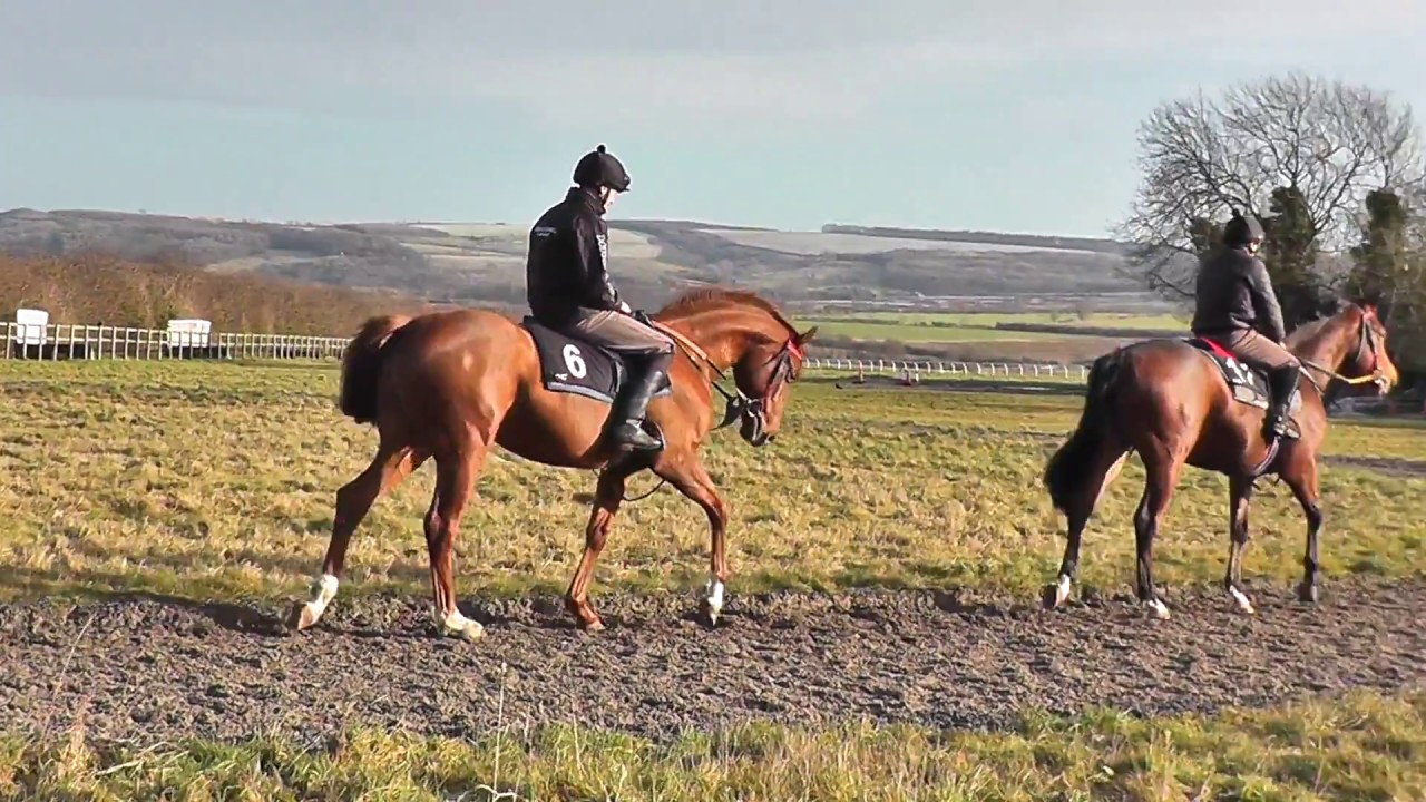 2016 colts by Equiano & Zoffany