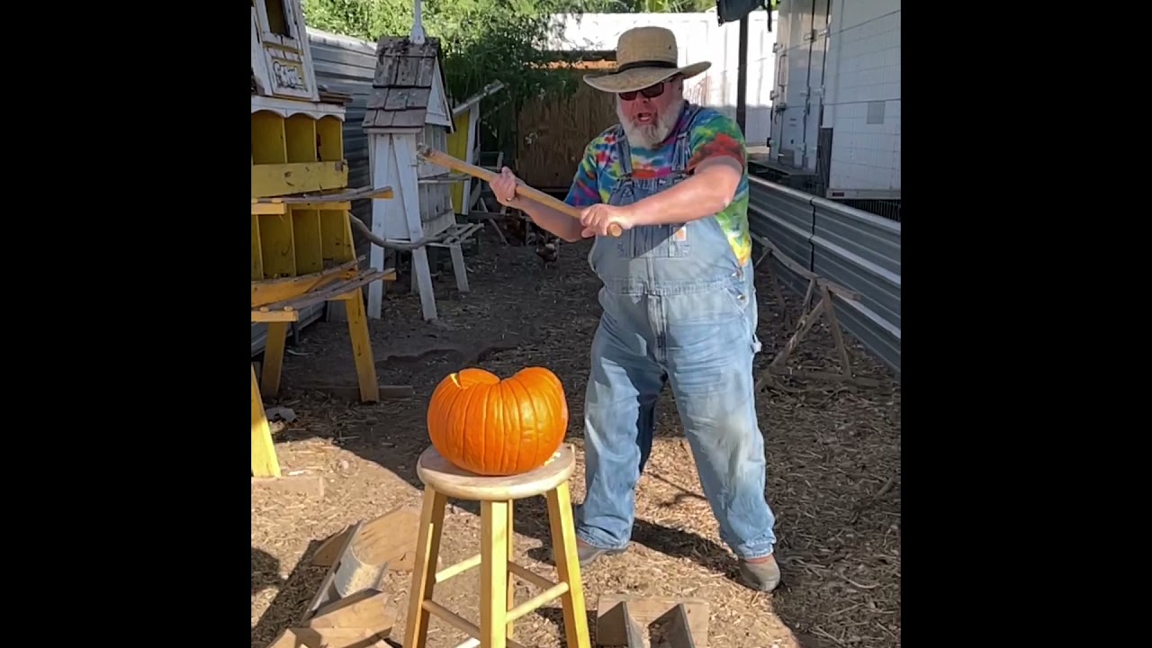 Where To Recycle Halloween Pumpkins | Composting In Phoenix Arizona