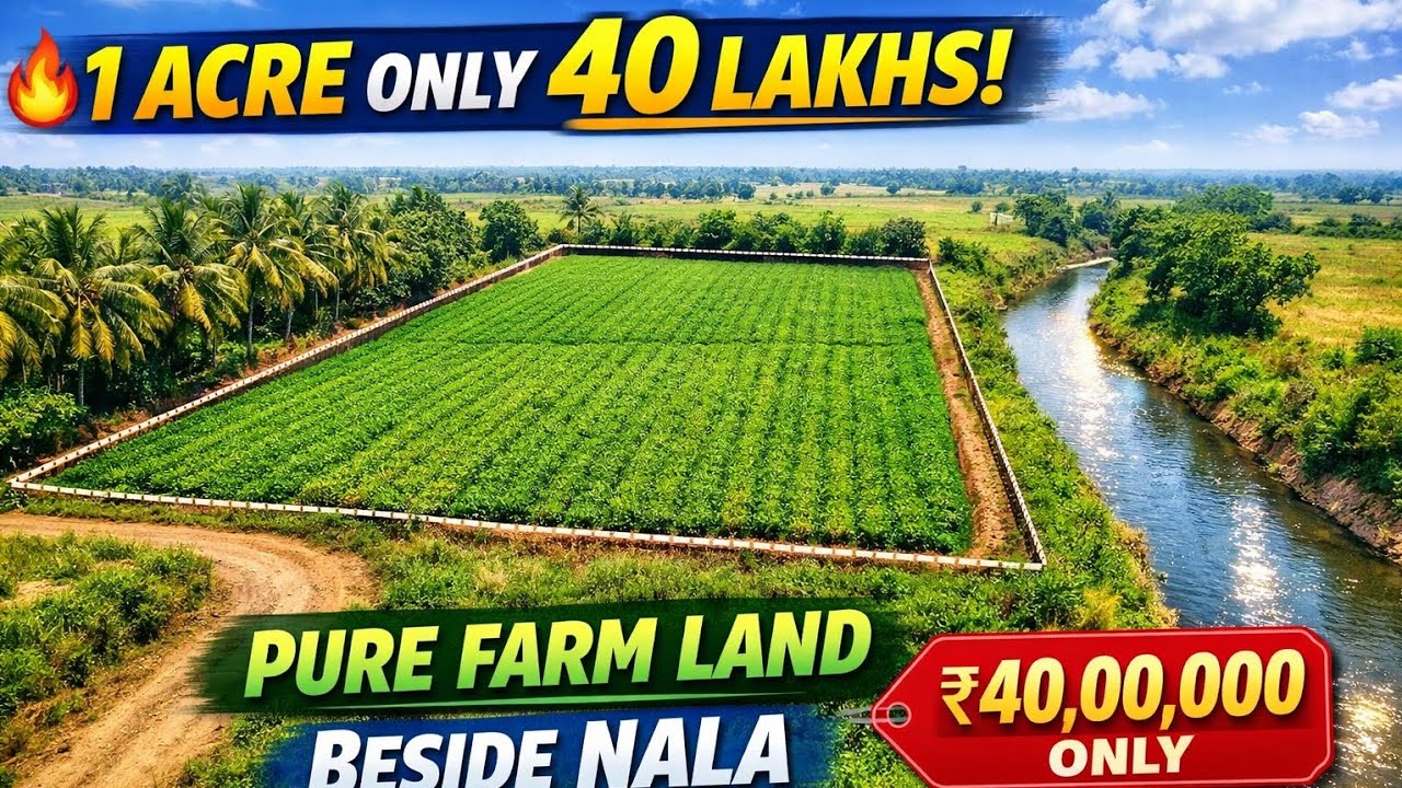 1 Acre Agricultural Land for Sale Near Srisailam Highway | Best Farm Land Investment