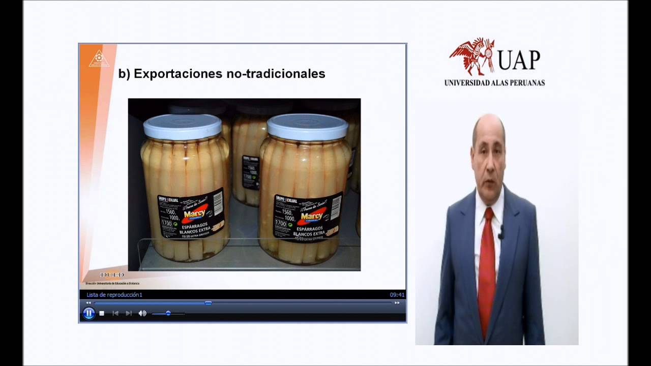 TIPOS DE EXPORTACIONES