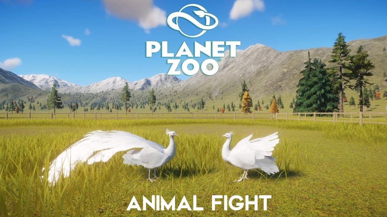 Every Albino Animal Fights in Planet Zoo - PART 2 - Planet Zoo Animal Fights