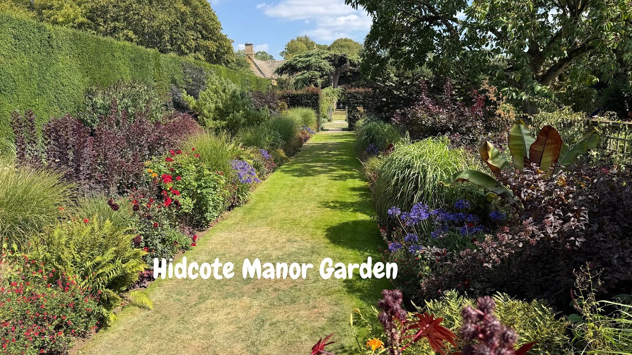 Hidcote Manor Garden - bunte Sommerpracht im berühmtesten Garten Englands 🌺🌸 #hidcotegarden#