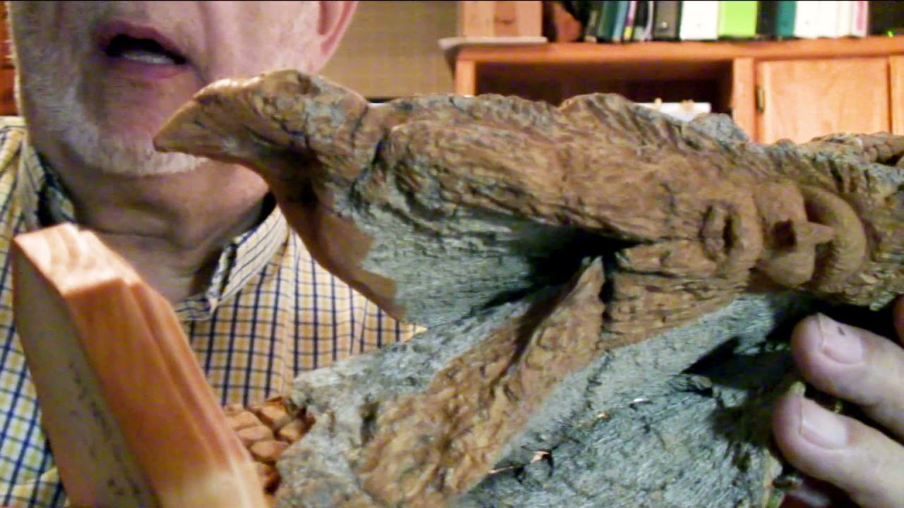 Cottonwood Bark Carving