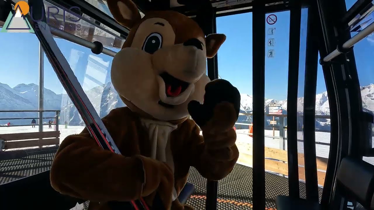 Chamois d'Auris sur les pistes