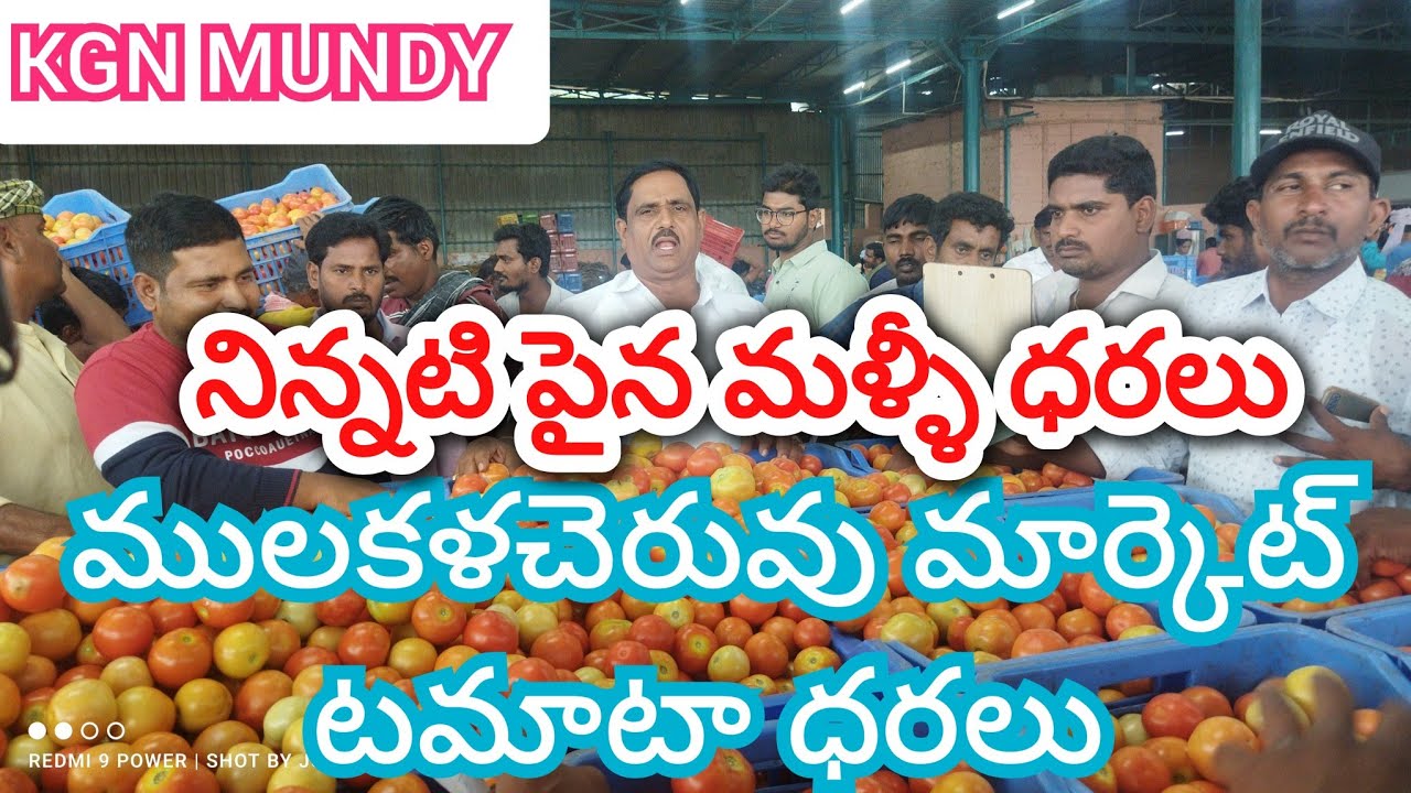 04/03/26 Mulakalacheruvu Tomato Market price Today || Today Tomato Market rate in Mulakalacheruvu