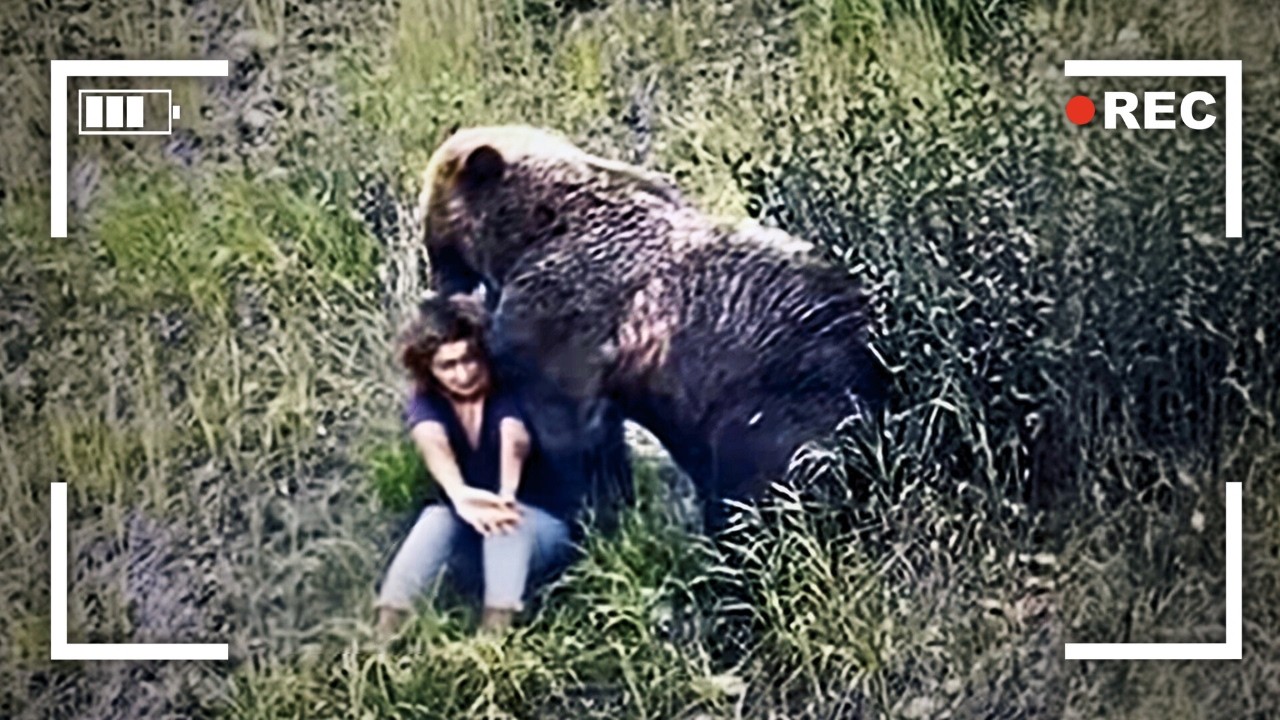 The Worst Bear Attacks Ever Recorded