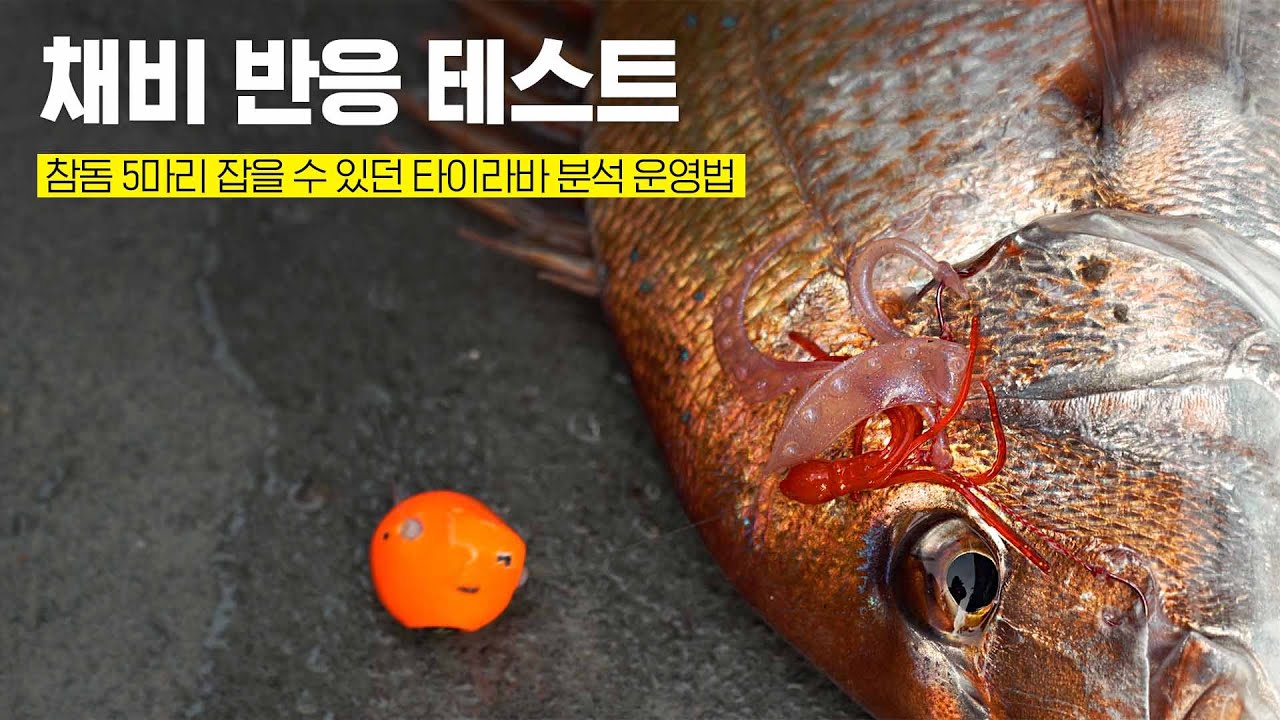 헤드 부근 채비가 어필력이 있을까, 바늘 끝 채비가 어필력이 있을까? | 2023년 제주 겨울 타이라바