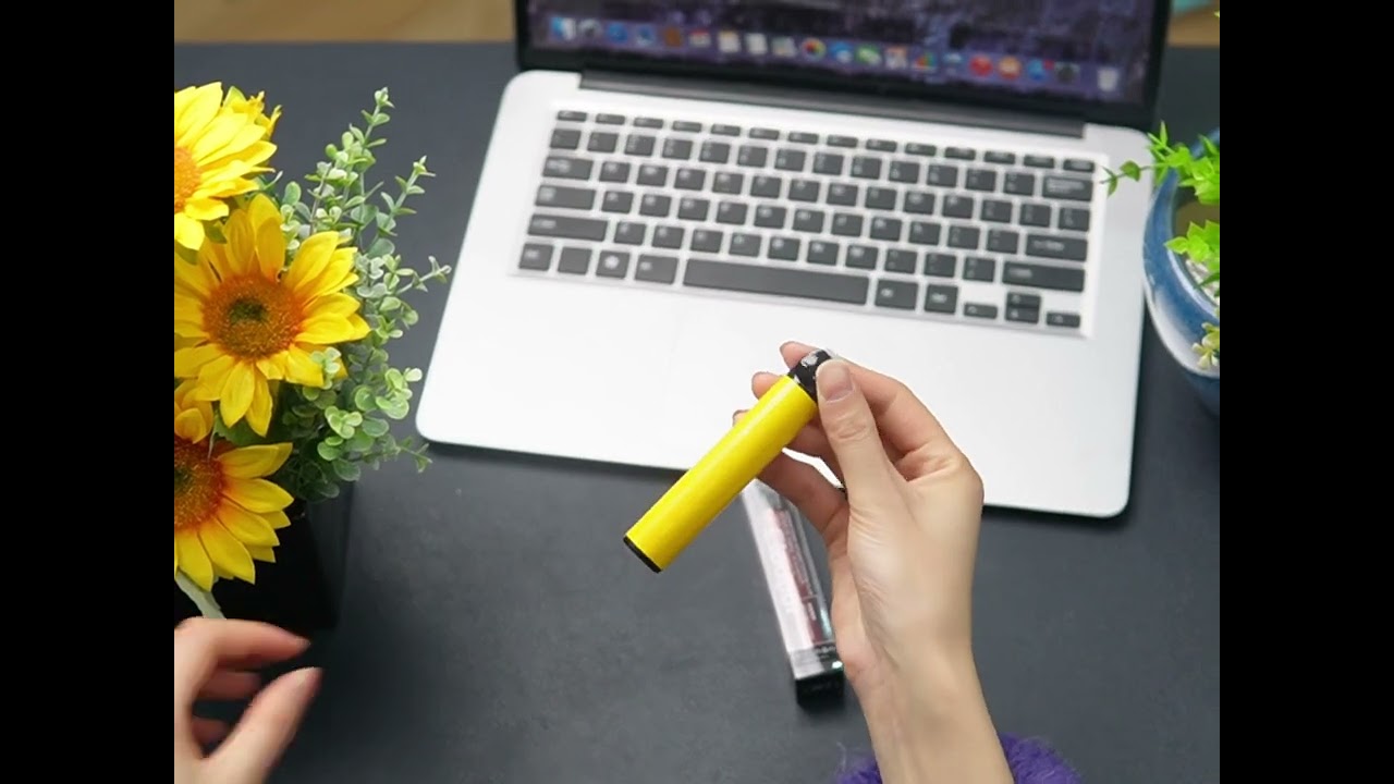 2500 PUFFS Disposable Vape C-317B #ecigarette #flavor #vape #oem #odm