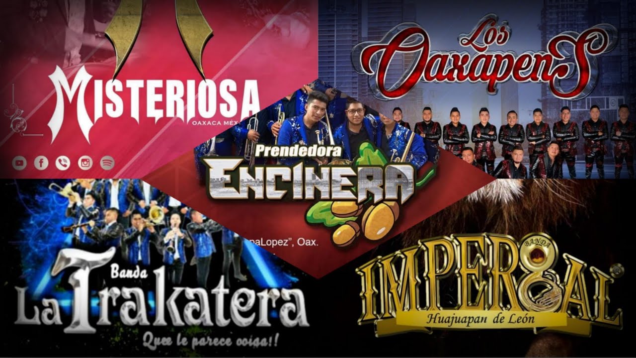 MIX MÚSICA MUERTERA CARNAVALERA 2019