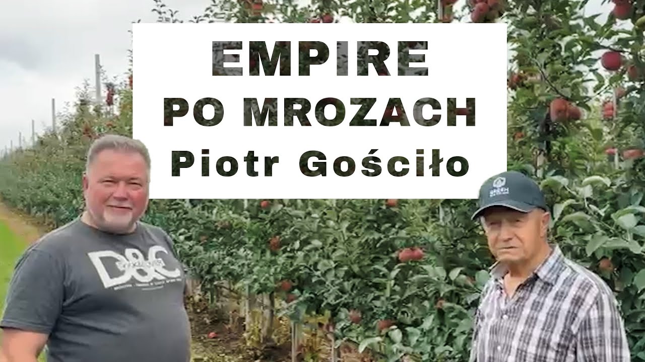 EMPIRE po mrozach - Komunikat sadowniczy - Piotr Gościło