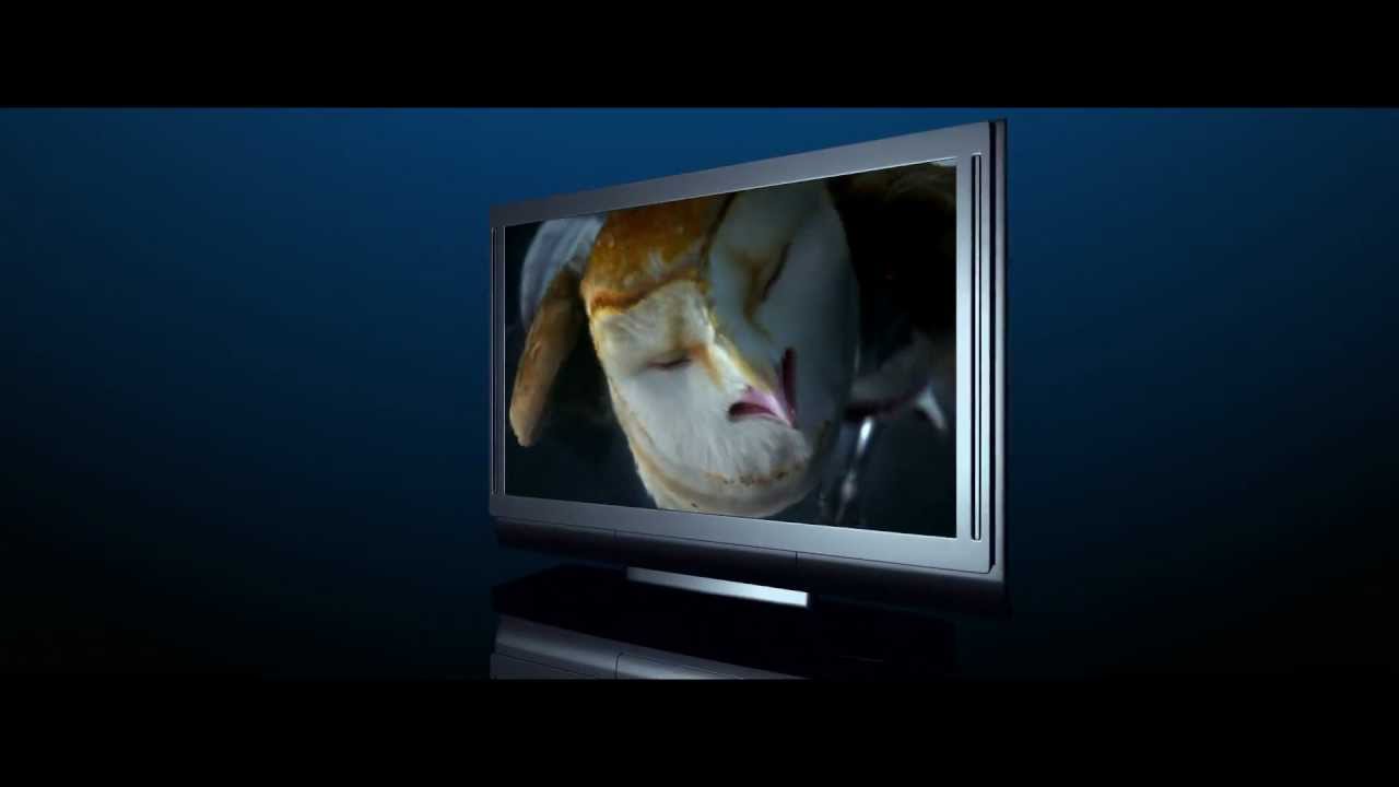 Warner Bros. Home Video : Blu-ray 3D - Trailer #1 | HD 1080p