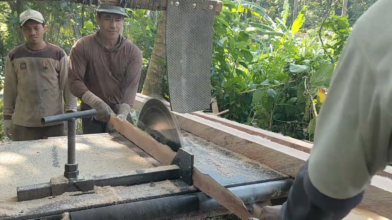 Proses Menggergaji Kayu Dengan Tajamnya Gergaji Bundar 