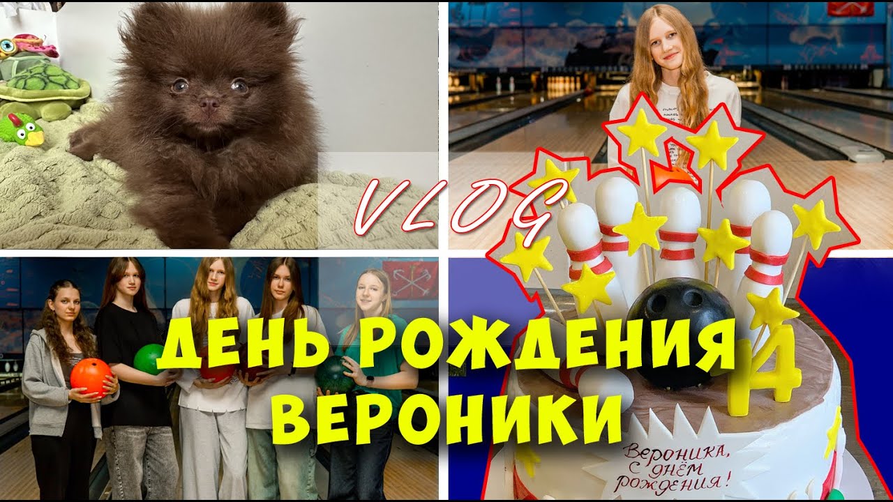 Наш питомец. День Рождения Вероники - 14 лет. 2025