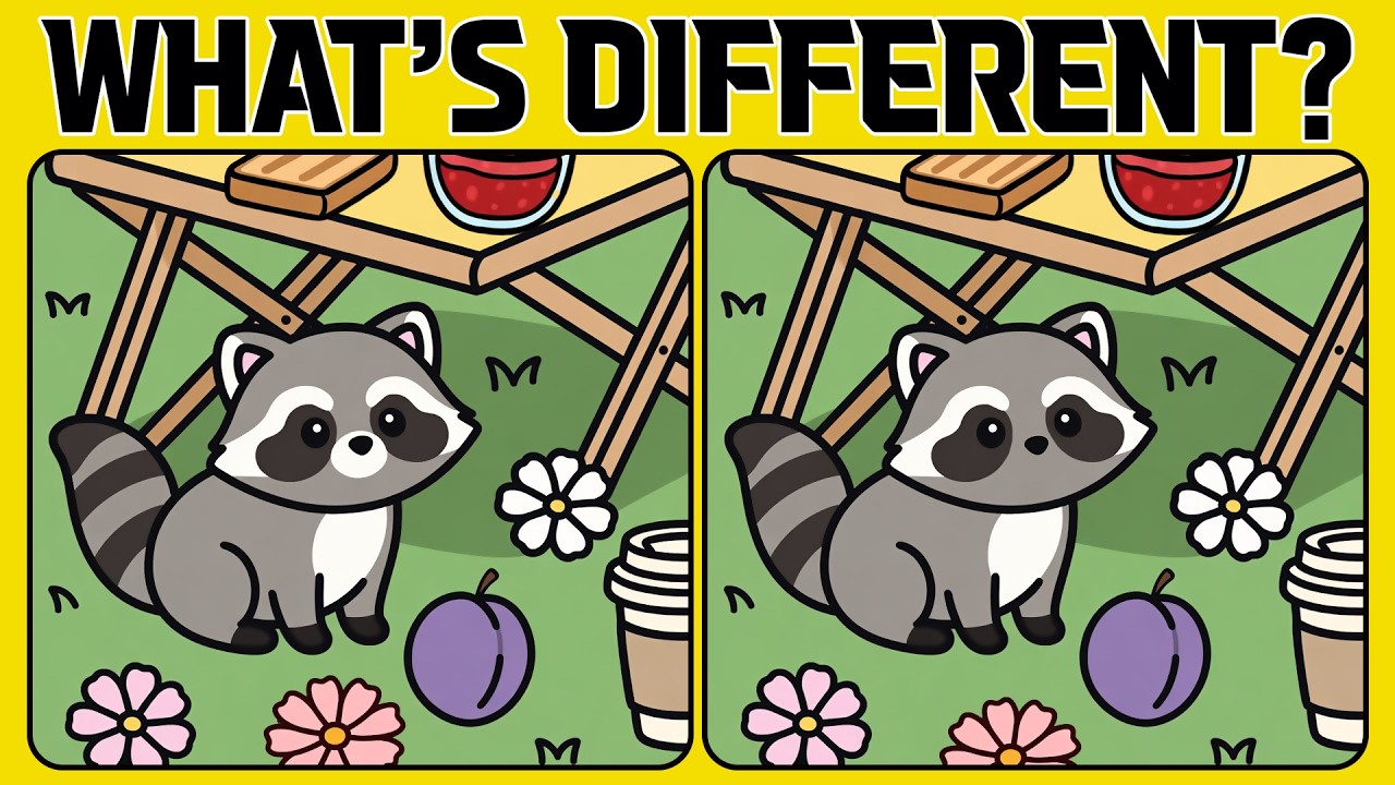 Brain Teaser Challenge: Find 3 Differences in Every Image! (A Bit Tricky)
