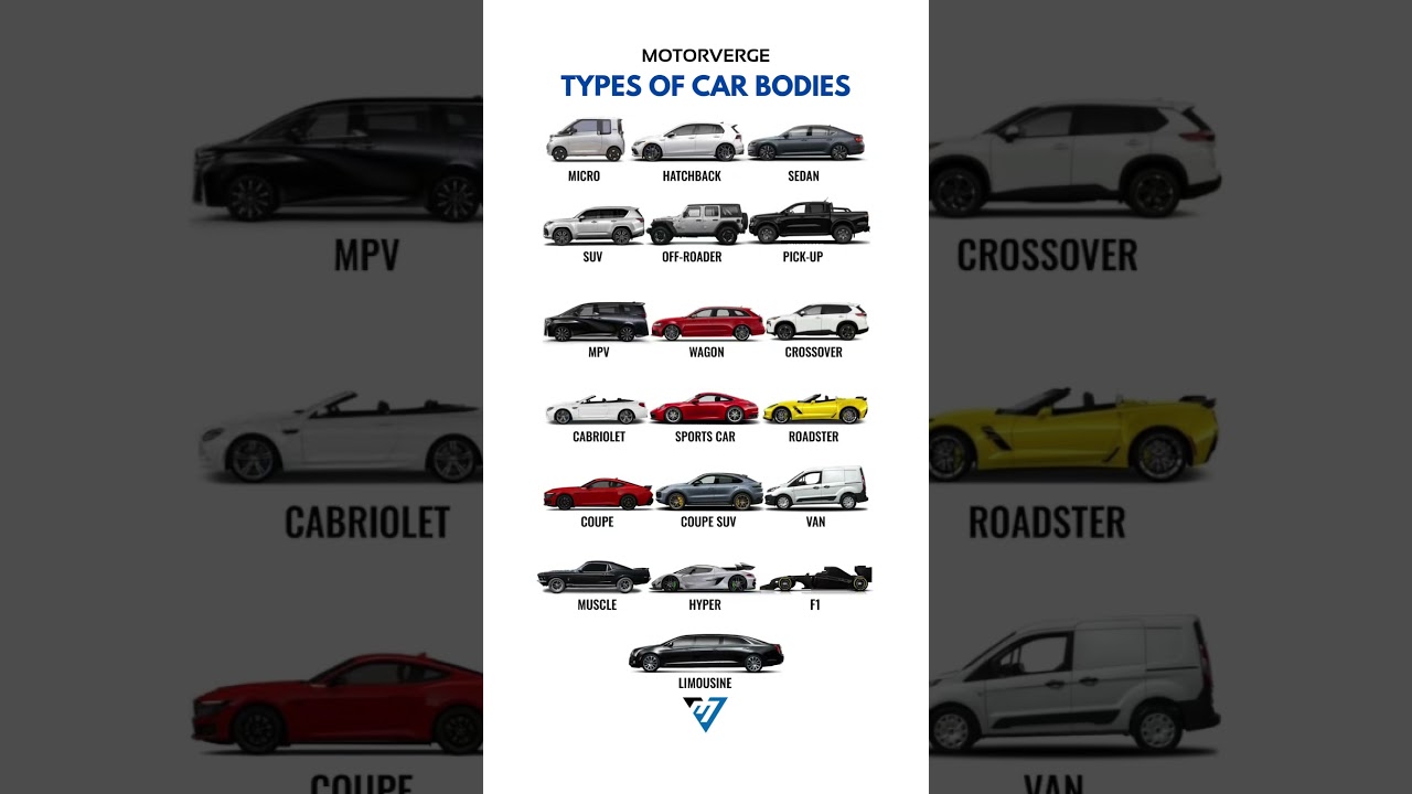 All types of car bodies! #offroad4x4 #mustangmache #landroverdefender #f1 #limousine #luxurycars