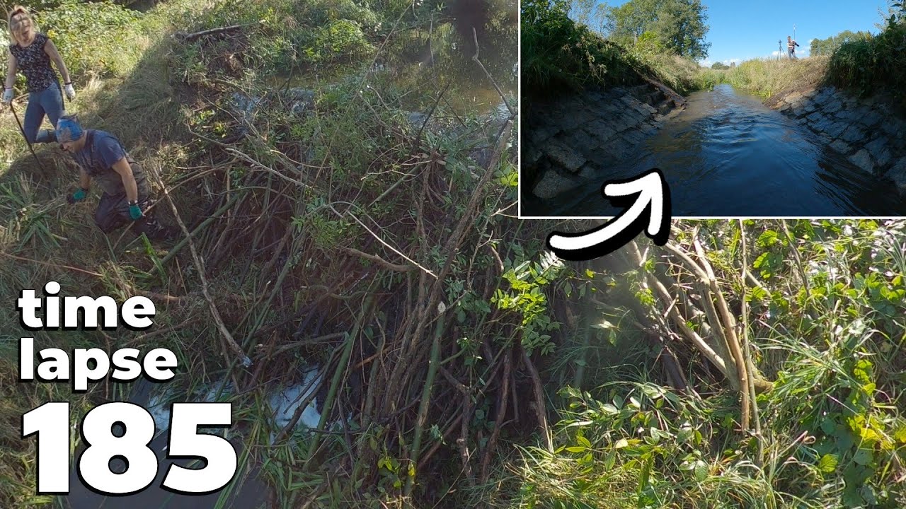 Large Amount Of Water - Manual Beaver Dam Removal No.185 - Time-Lapse Version