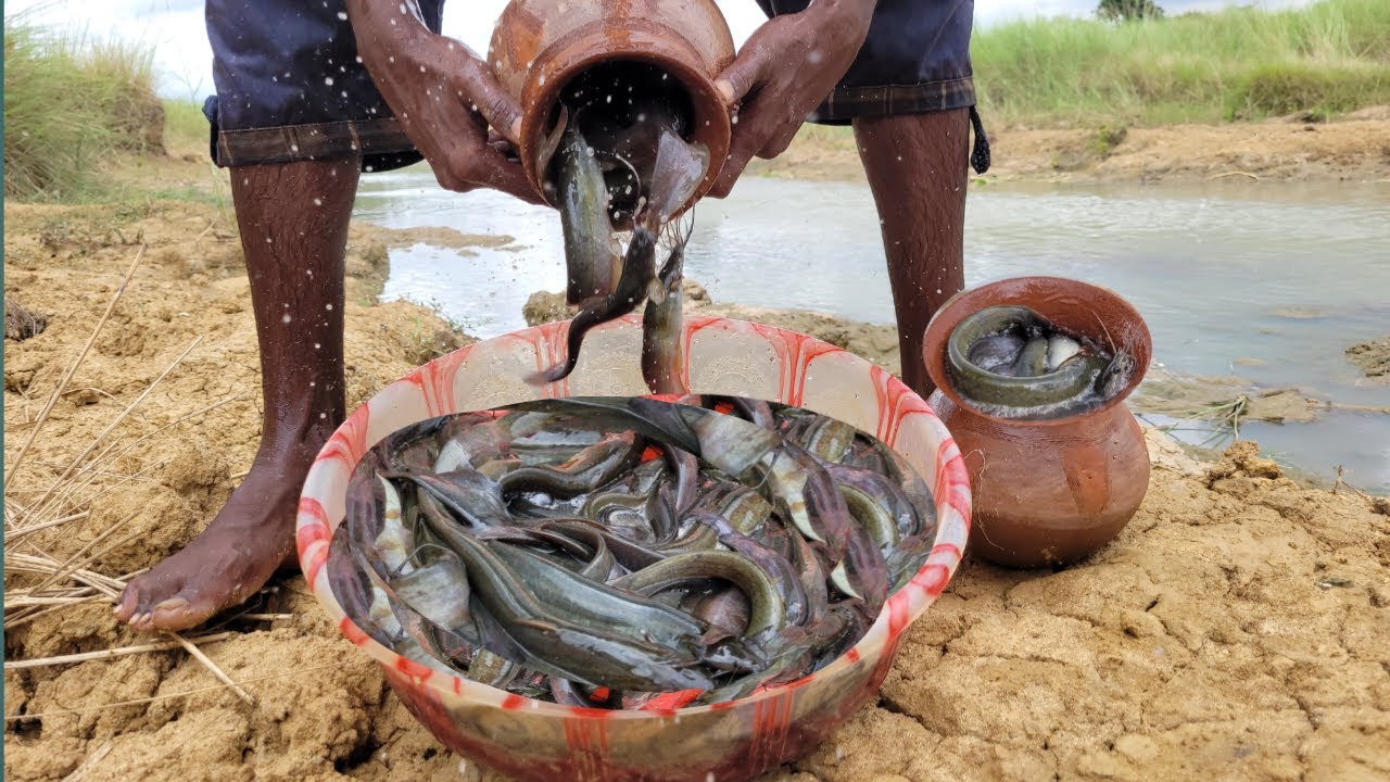 Unique fishing technique in river water. Sting catfish catch with mud pot. #uniquefishing#fishpot .