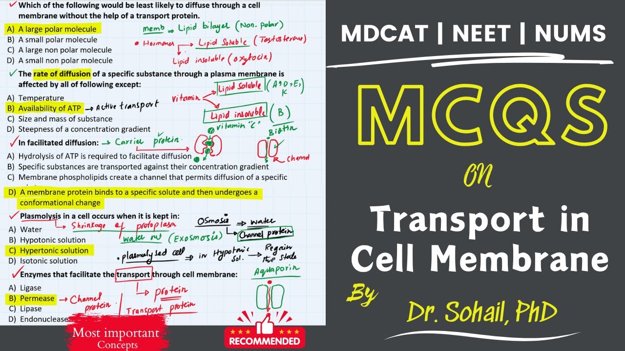 MCQS on Transport Across Cell Membrane | MDCAT | ETEA | JSMU |
