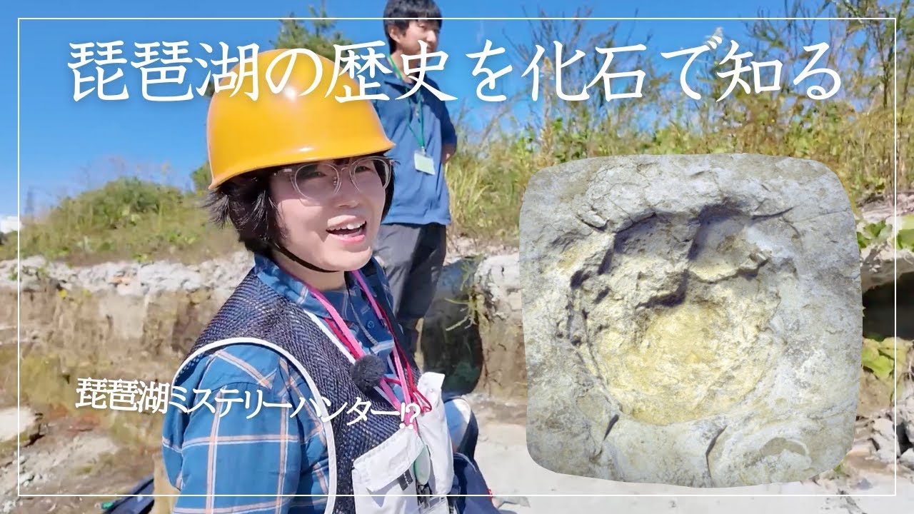 古琵琶湖層群で化石を発掘！化石の発掘から保存まで解説！【はしかけ活動】