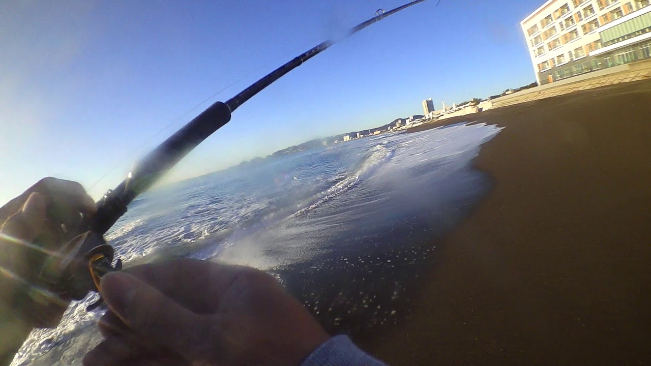 シーバス サーフ ベイトタックル バロール130