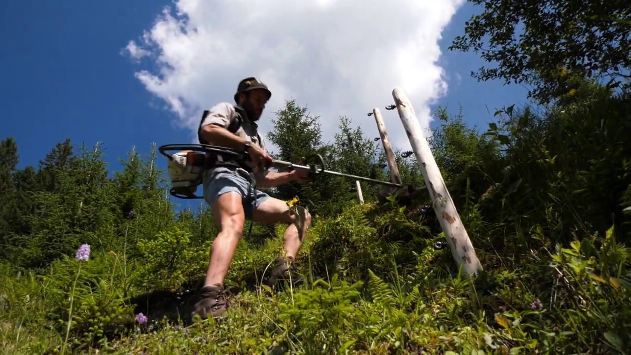 Wolfssichere Z&auml;une in der Alpwirtschaft Teil 1 |  Schutzma&szlig;nahmen Weidetiere Oberallg&auml;u