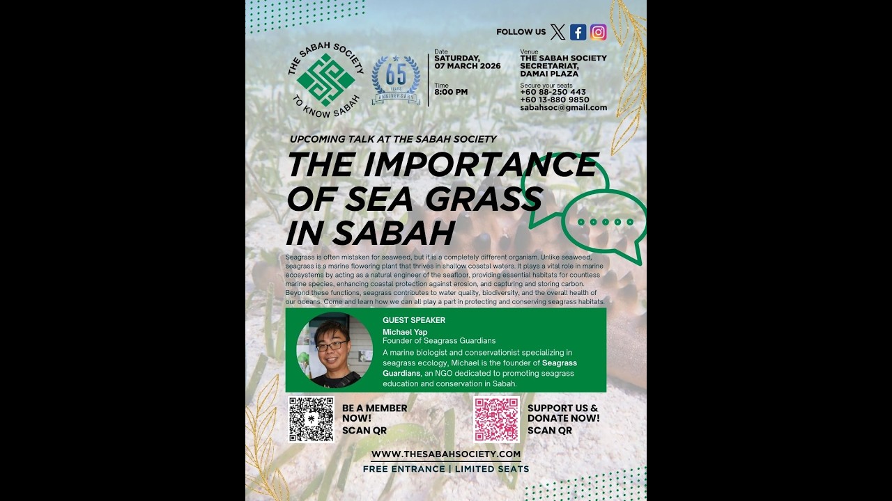 The Importance of Seagrass in Sabah — Michael Yap