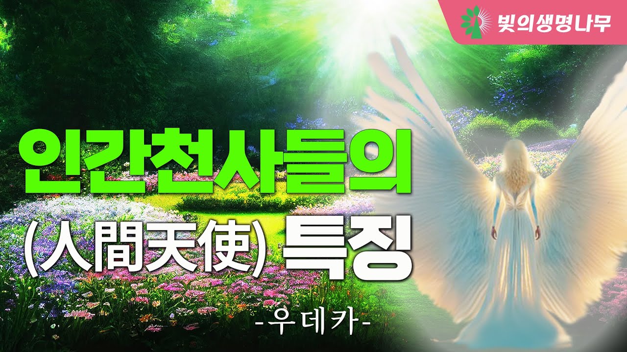 인간 천사들의 특징