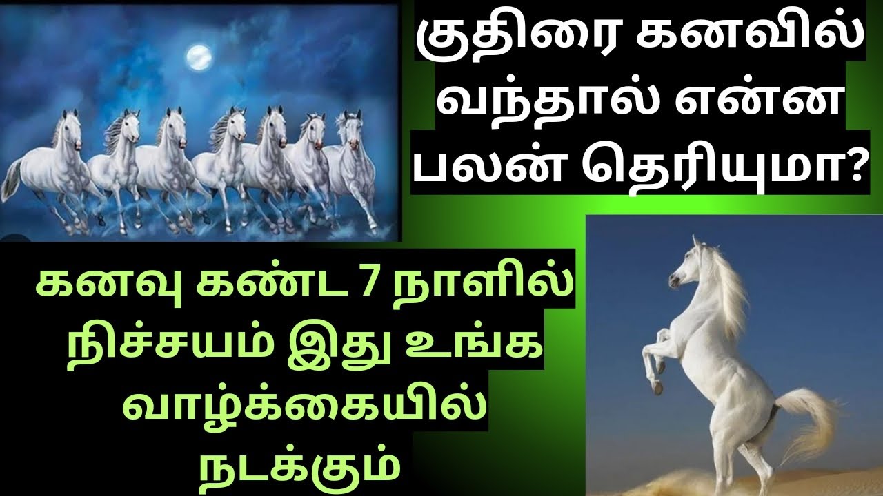 குதிரை கனவில் வந்தால் என்ன பலன் | Horse Dream Meaning in Tamil/வெள்ளை குதிரை கனவில் வந்தால்/kuthirai