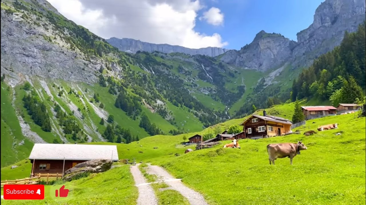أجمل ما غنت السيدة فيروز مع سحر جمال سويسرا،#فيروز #فيروزيات_الصباح ، Zwitserland